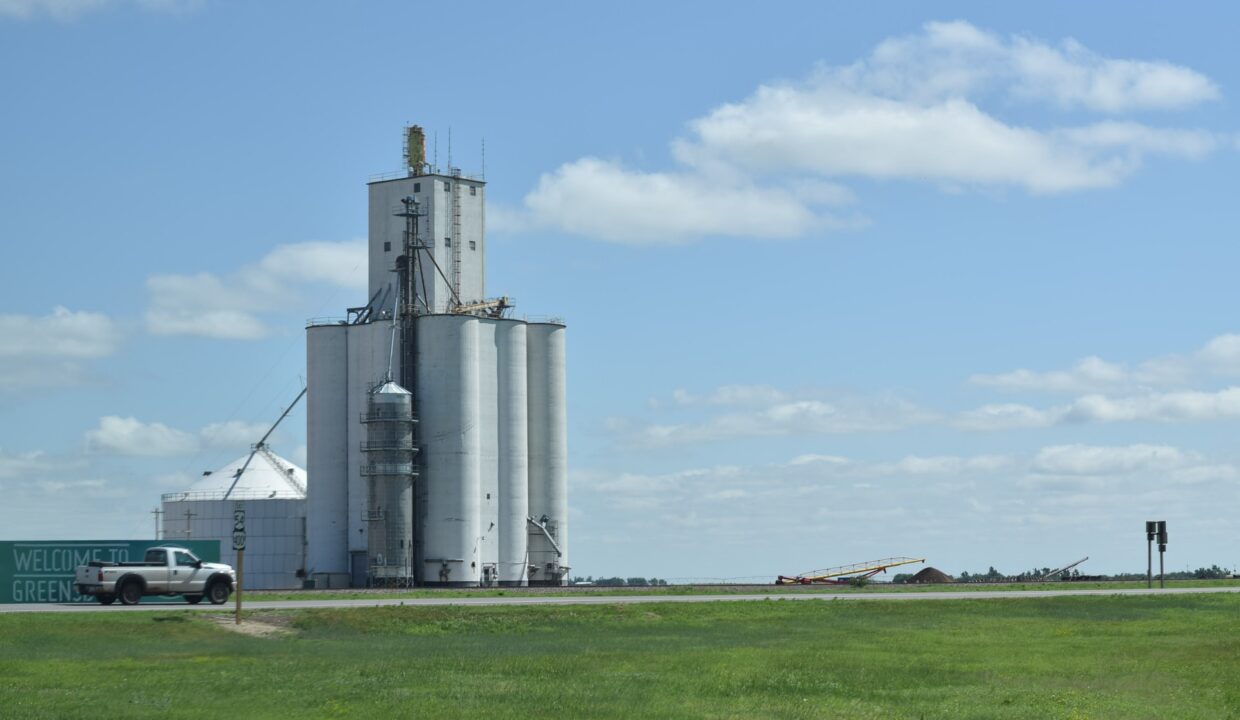 krista-joy-montgomery-EP9XwvHLnIw-unsplash