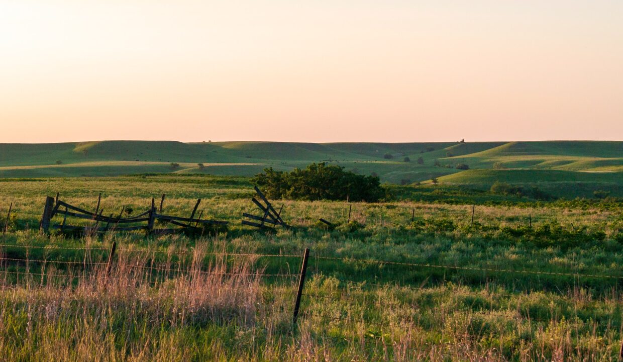 mary-hammel-BhDlxXLhORg-unsplash