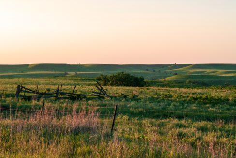 mary-hammel-BhDlxXLhORg-unsplash