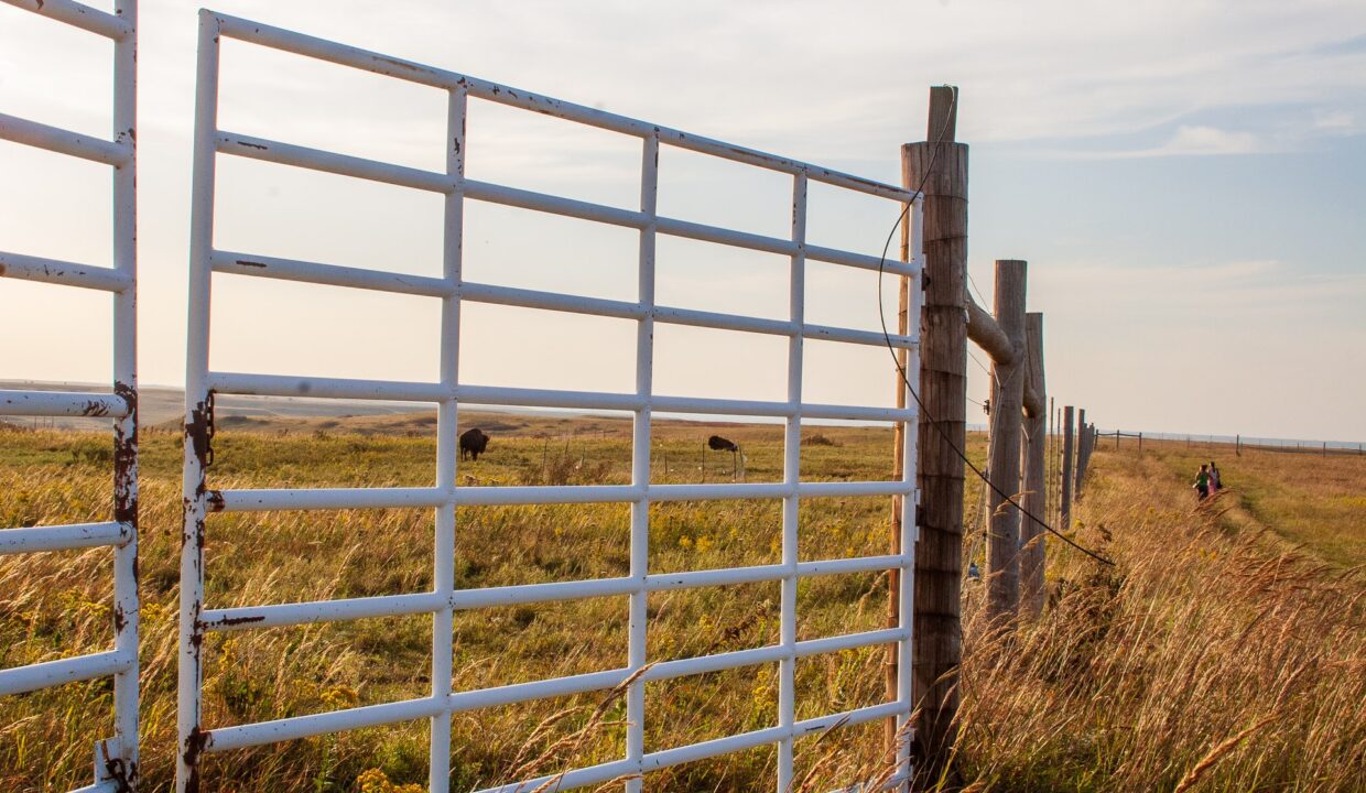 mary-hammel-RIY9OfPpvYI-unsplash