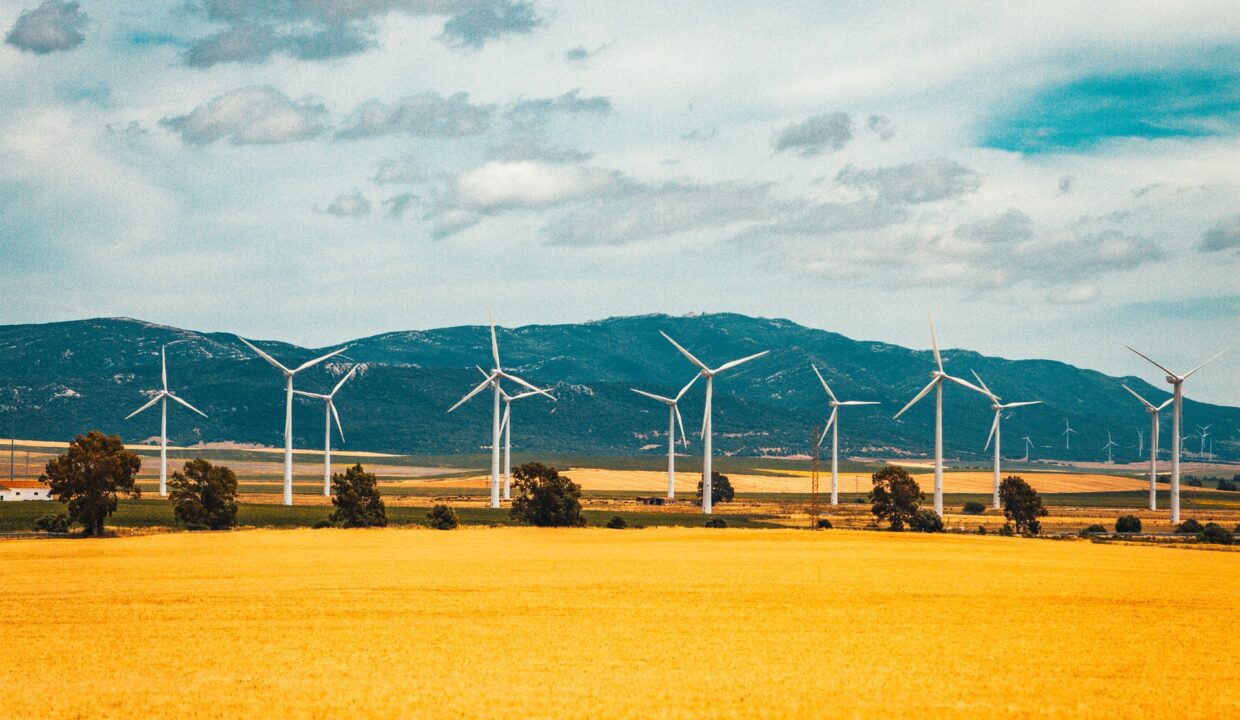 raimond-klavins-ICNI2HX2Wvo-unsplash