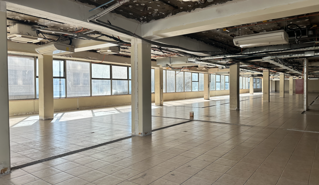 Captura de pantalla 2023-07-24 a la(s) 15.23.08