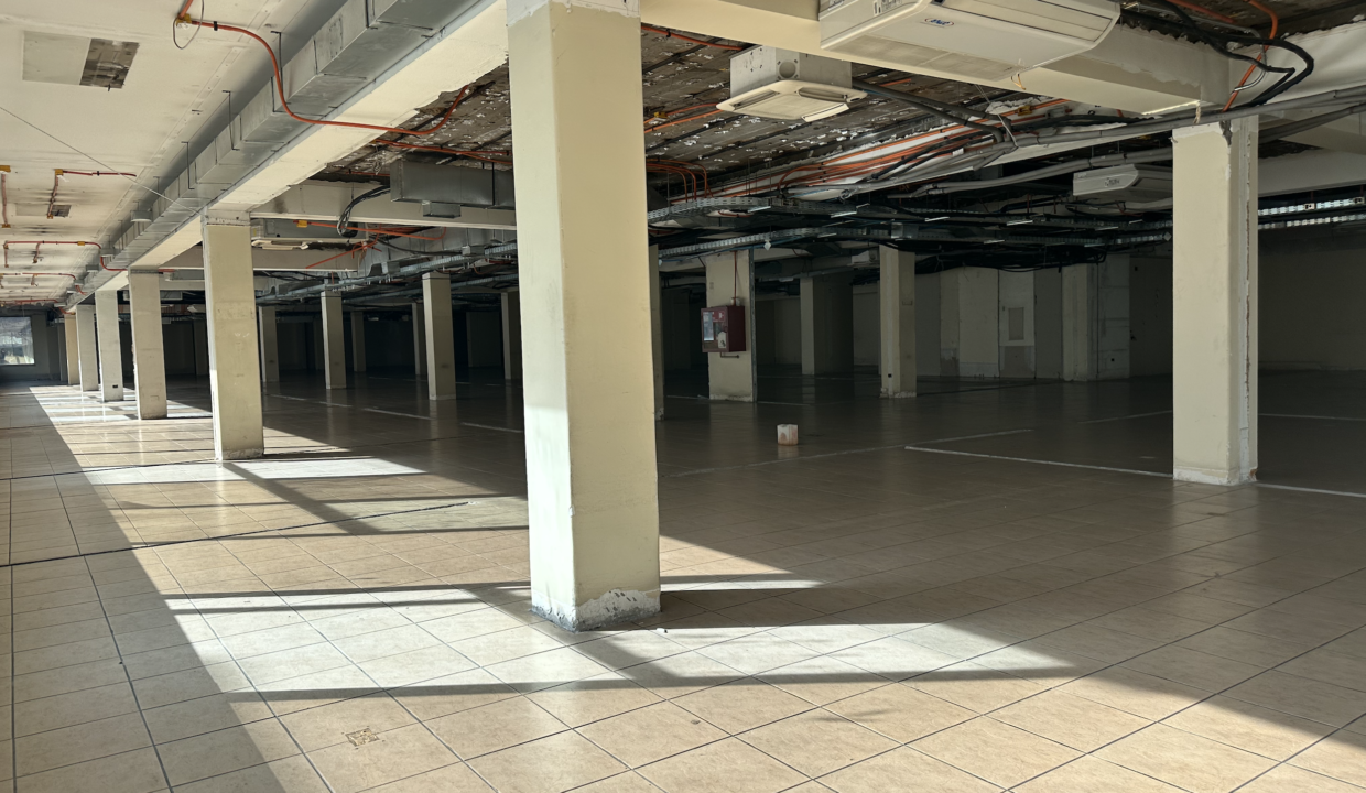 Captura de pantalla 2023-07-24 a la(s) 15.23.24