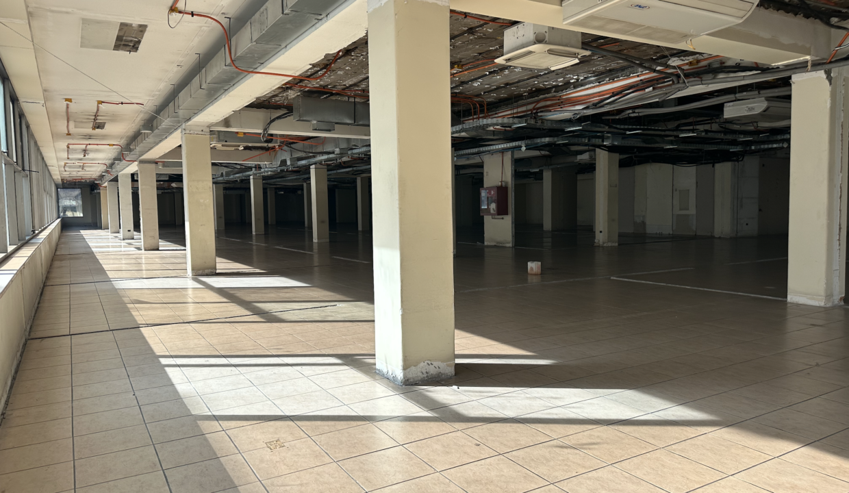 Captura de pantalla 2023-07-24 a la(s) 15.23.40