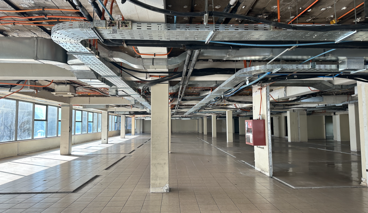 Captura de pantalla 2023-07-24 a la(s) 15.23.56