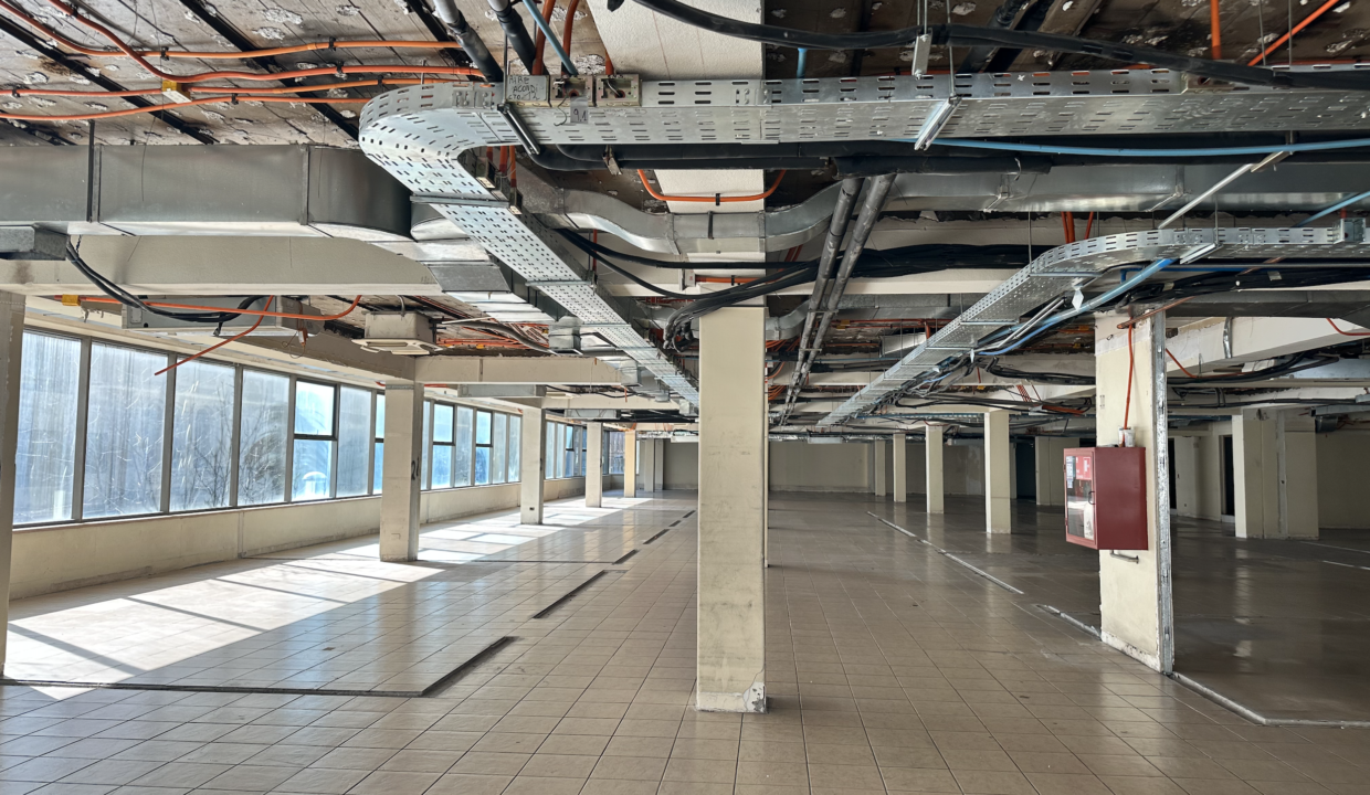 Captura de pantalla 2023-07-24 a la(s) 15.24.11